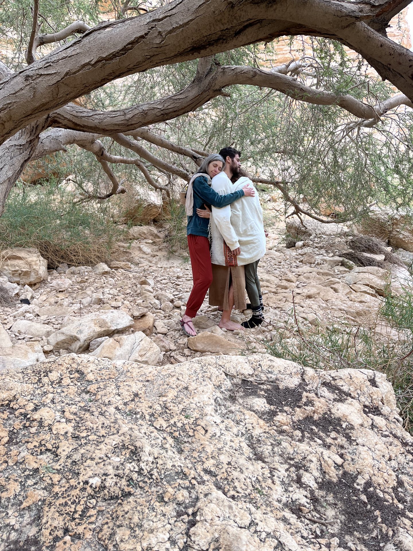 חיבוק בצל העץ